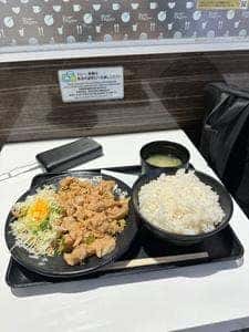 伝説のすた丼屋 ダイバーシティ東京 プラザ店
