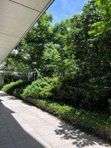 東京音楽大学・学食