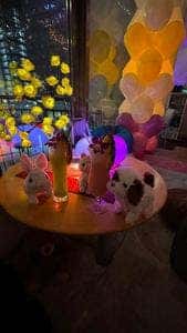 neuf cafe