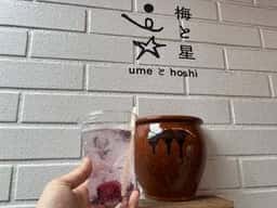 梅と星