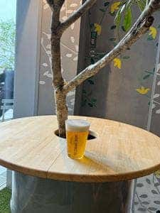 THE STANDARD DRINKS