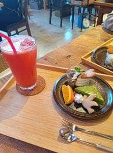 THE CHAYA
