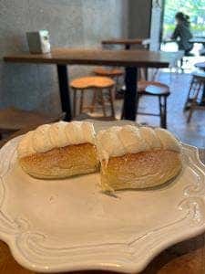 ドロゲリア サンクリッカ