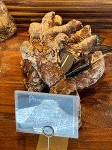 Pain des Philosophes