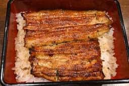 新宿 うなぎ菊川