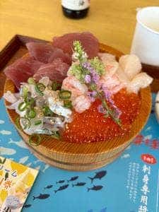 小田原漁港 とと丸食堂 TOTOCO小田原