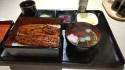 大衆鰻の店 うな壱