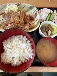 コーヒー園