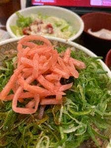 すき家 安城緑町店