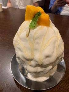 サクラ咲