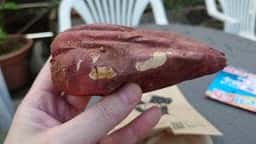 やきいも丸じゅん