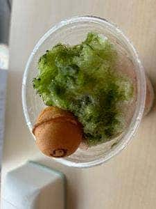 ぴっぴのまる せんげん台 ベビーカステラ専門店