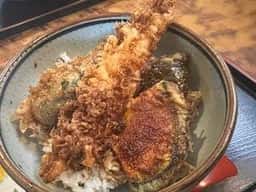 蓑屋