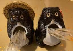 ぽんぽこ亭 川越まるひろ店