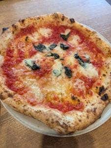 Ercolino