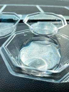 京極名水 甘味処 江守
