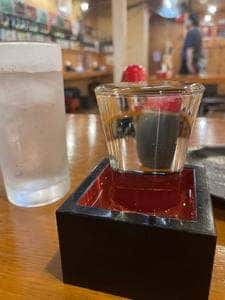 苫小牧 新鮮魚市場