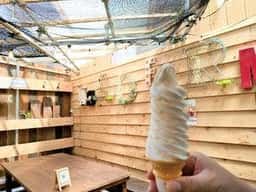 けいすけ 支店