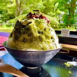 TOHAKU 茶館