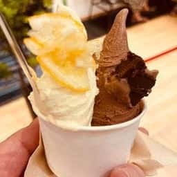 Premium Gelato ハレTerrace 豊洲店