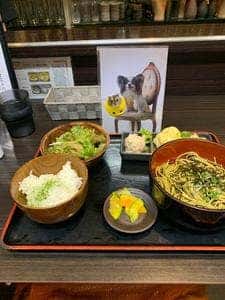 宇治創 こころ