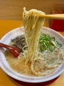島くん