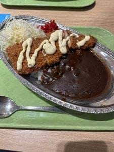 ゴーゴーカレー 海ほたるPA店