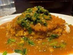 旨辛カレー専門店 白洋亭 ヨドバシAkiba