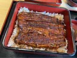 桜新町うなぎ川信