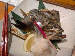 旬菜魚 磯一 江坂店