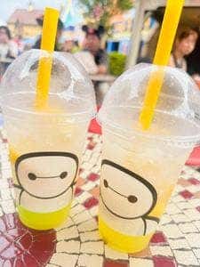 キャプテンフックス・ギャレー