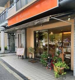 ハシモト