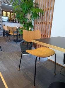 Noshi's Cafe