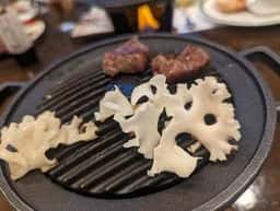 グリーンビュー立山