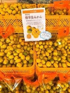 みきゃんパーク札幌