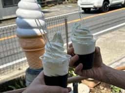 佐倉 金子牧場