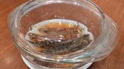 海皇 OSAKA 堂島店