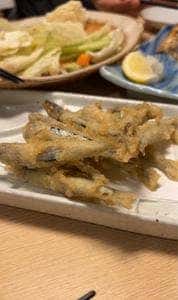酔灯屋 天神店