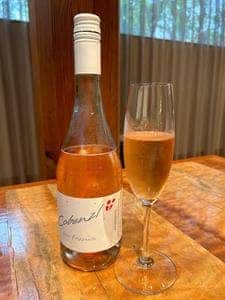 Ristorante Galleria アールモンゼン京都