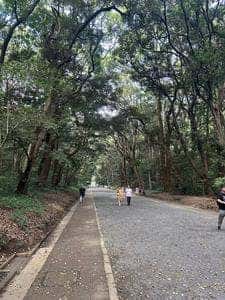 フォレストテラス明治神宮