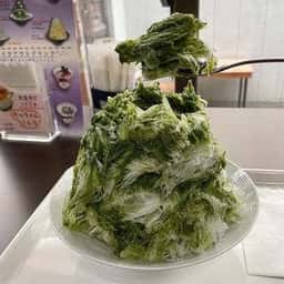 靖月少納言