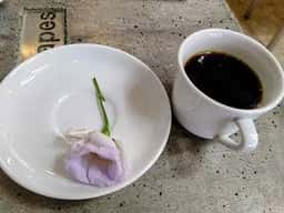BONSAI&FLOWER CAFE&BAR Scapes