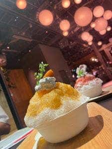 かき氷コレクション・バトン