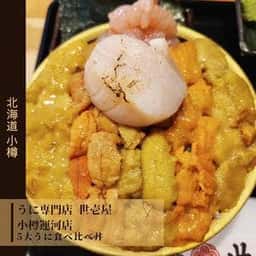 うに専門店 世壱屋 小樽運河店