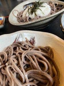 水と緑のふる里 森の駅