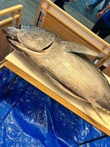 貝・刺身専門店 しらはら みなとみらい一番街