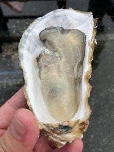 ヤマサ水産 お魚センター店