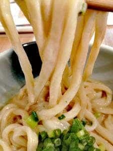 udon noodles 麺候