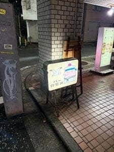 バーカモメ