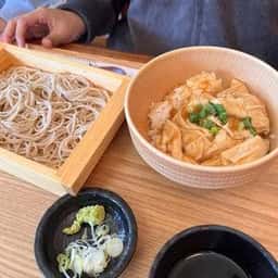 更科